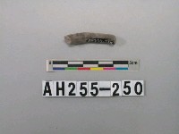 藏品(灰色泥質陶環殘件)的圖片